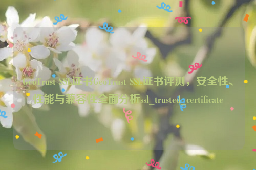 GeoTrust SSL证书GeoTrust SSL证书评测，安全性、性能与兼容性全面分析ssl_trusted_certificate