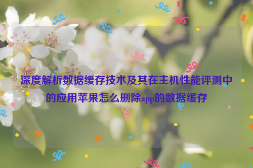 深度解析数据缓存技术及其在主机性能评测中的应用苹果怎么删除app的数据缓存