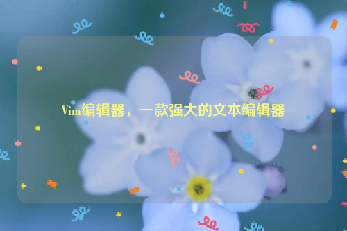 Vim编辑器，一款强大的文本编辑器