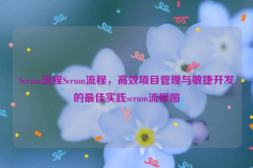 Scrum流程Scrum流程，高效项目管理与敏捷开发的最佳实践scrum流程图