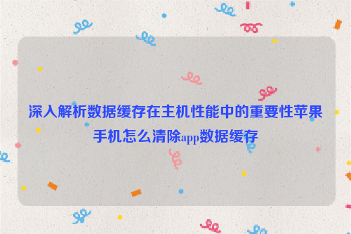 深入解析数据缓存在主机性能中的重要性苹果手机怎么清除app数据缓存