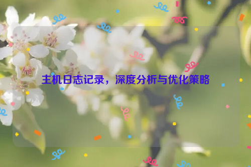 主机日志记录，深度分析与优化策略