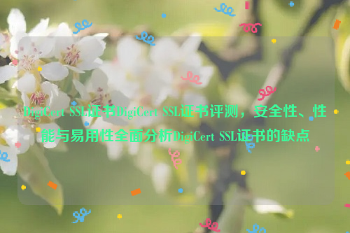 DigiCert SSL证书DigiCert SSL证书评测，安全性、性能与易用性全面分析DigiCert SSL证书的缺点