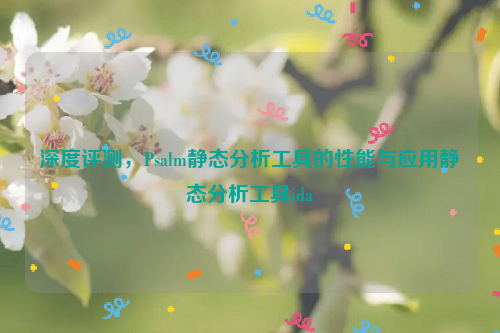 深度评测，Psalm静态分析工具的性能与应用静态分析工具ida