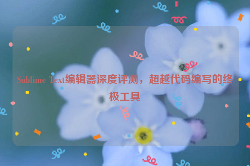 Sublime Text编辑器深度评测，超越代码编写的终极工具