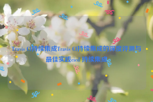 Travis CI持续集成Travis CI持续集成的深度评测与最佳实践cicd 持续集成