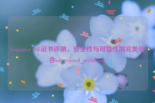 Symantec SSL证书评测，安全性与可靠性的完美结合ssl_trusted_certificate