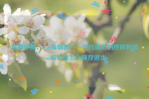 深度评测，Vim编辑器——代码编写的终极利器vim编辑器怎么保存退出