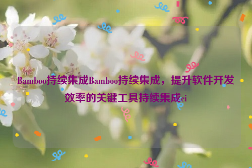 Bamboo持续集成Bamboo持续集成，提升软件开发效率的关键工具持续集成ci