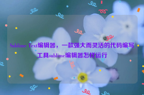 Sublime Text编辑器，一款强大而灵活的代码编写工具sublime编辑器怎样运行