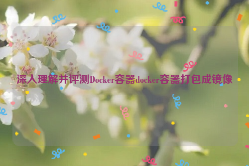 深入理解并评测Docker容器docker容器打包成镜像