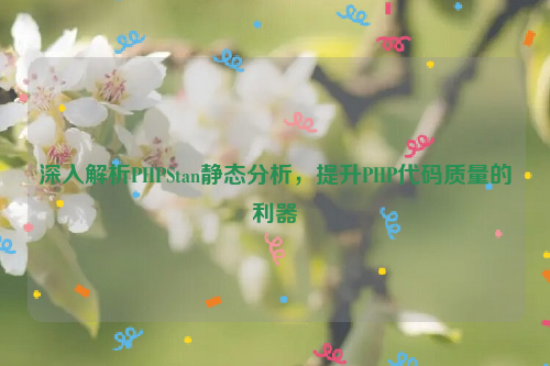 深入解析PHPStan静态分析，提升PHP代码质量的利器