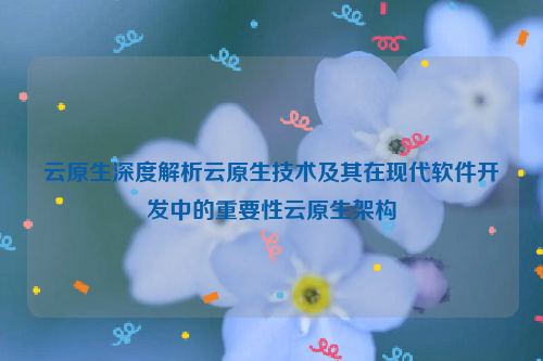 云原生深度解析云原生技术及其在现代软件开发中的重要性云原生架构