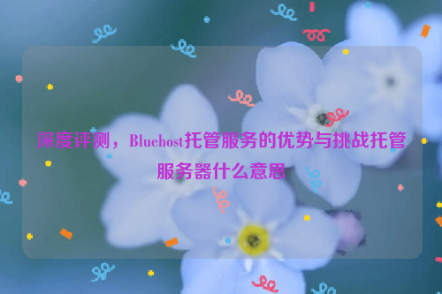 深度评测，Bluehost托管服务的优势与挑战托管服务器什么意思