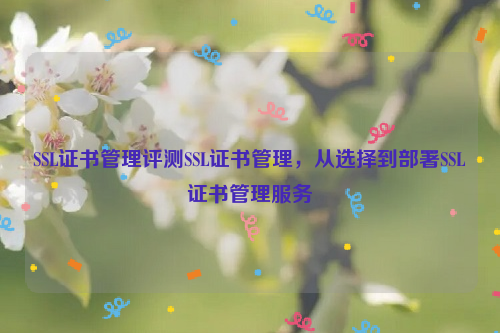 SSL证书管理评测SSL证书管理，从选择到部署SSL证书管理服务