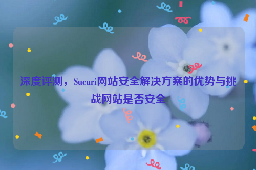 深度评测，Sucuri网站安全解决方案的优势与挑战网站是否安全