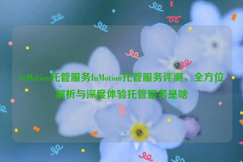 InMotion托管服务InMotion托管服务评测，全方位解析与深度体验托管服务是啥