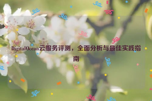 DigitalOcean云服务评测，全面分析与最佳实践指南