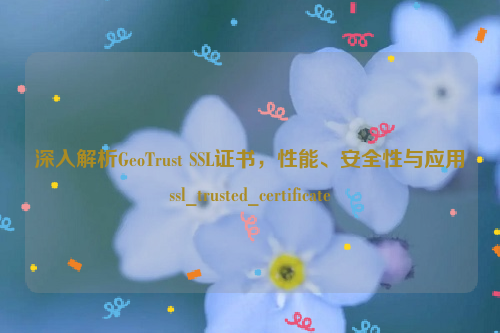 深入解析GeoTrust SSL证书，性能、安全性与应用ssl_trusted_certificate