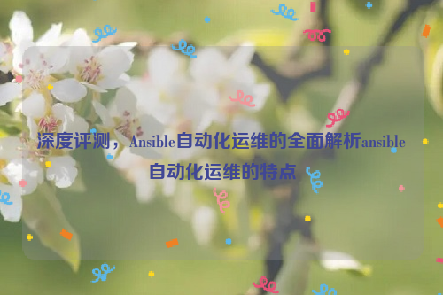 深度评测，Ansible自动化运维的全面解析ansible自动化运维的特点