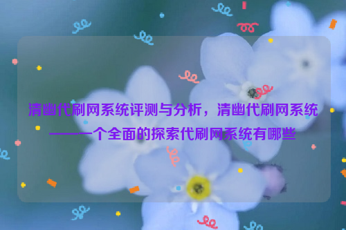 清幽代刷网系统评测与分析，清幽代刷网系统——一个全面的探索代刷网系统有哪些