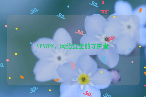 VPNVPN，网络安全的守护者