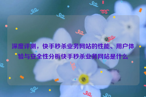 深度评测，快手秒杀业务网站的性能、用户体验与安全性分析快手秒杀业务网站是什么