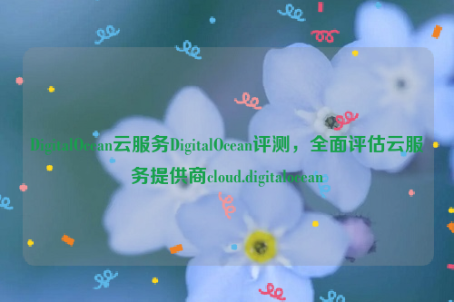 DigitalOcean云服务DigitalOcean评测，全面评估云服务提供商cloud.digitalocean