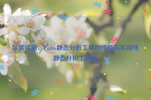 深度评测，Psalm静态分析工具的性能与实用性静态分析工具ida