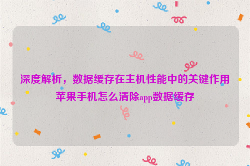 深度解析，数据缓存在主机性能中的关键作用苹果手机怎么清除app数据缓存