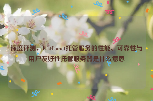 深度评测，FastComet托管服务的性能、可靠性与用户友好性托管服务器是什么意思