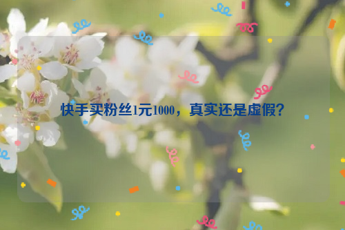 快手买粉丝1元1000，真实还是虚假？