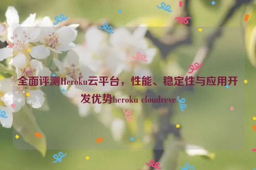 全面评测Heroku云平台，性能、稳定性与应用开发优势heroku cloudreve