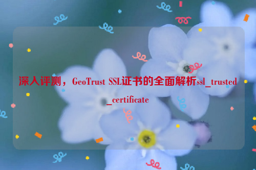 深入评测，GeoTrust SSL证书的全面解析ssl_trusted_certificate