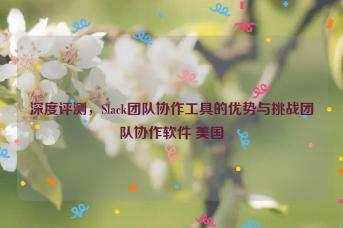 深度评测，Slack团队协作工具的优势与挑战团队协作软件 美国