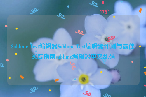 Sublime Text编辑器Sublime Text编辑器评测与最佳实践指南sublime编辑器中文乱码