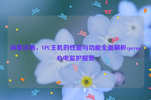 深度评测，VPC主机的性能与功能全面解析vpcrun心电监护报警