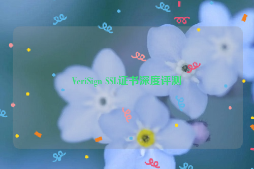 VeriSign SSL证书深度评测