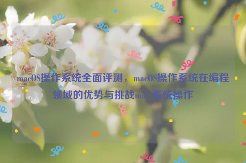 macOS操作系统全面评测，macOS操作系统在编程领域的优势与挑战mac 系统操作