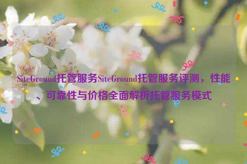 SiteGround托管服务SiteGround托管服务评测，性能、可靠性与价格全面解析托管服务模式