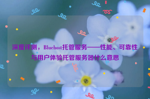 深度评测，Bluehost托管服务——性能、可靠性与用户体验托管服务器什么意思