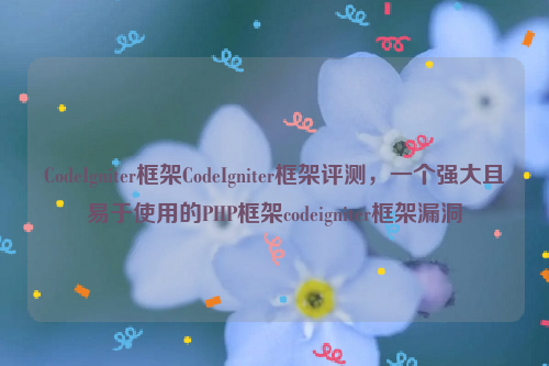 CodeIgniter框架CodeIgniter框架评测，一个强大且易于使用的PHP框架codeigniter框架漏洞