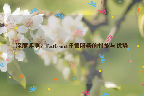 深度评测，FastComet托管服务的性能与优势