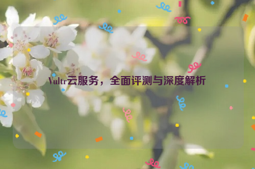 Vultr云服务，全面评测与深度解析