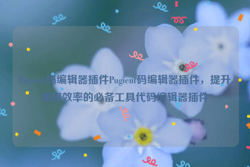 Pugient码编辑器插件Pugient码编辑器插件，提升编程效率的必备工具代码编辑器插件