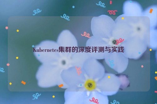 Kubernetes集群的深度评测与实践