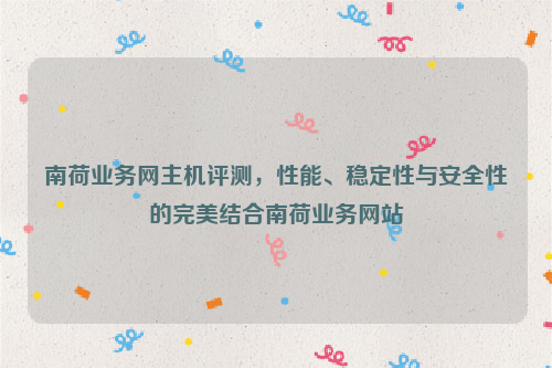 南荷业务网主机评测，性能、稳定性与安全性的完美结合南荷业务网站