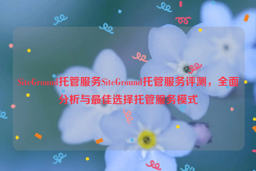 SiteGround托管服务SiteGround托管服务评测，全面分析与最佳选择托管服务模式