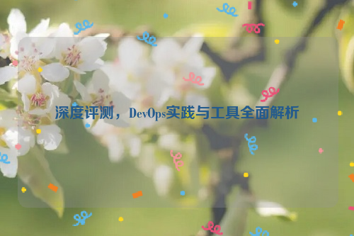 深度评测，DevOps实践与工具全面解析