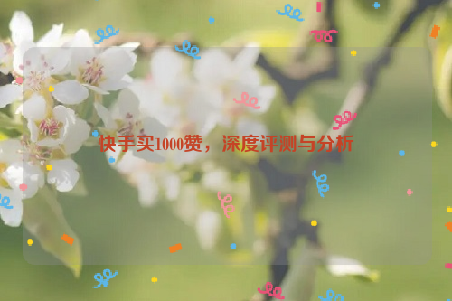 快手买1000赞，深度评测与分析